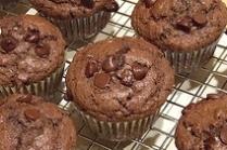 sugar free chocolate chip muffins